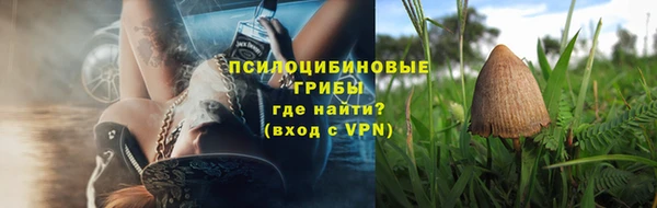 дмт Бугульма