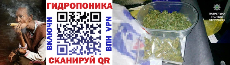 Шишки марихуана Bruce Banner  гидра зеркало  Донецк 